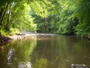 Kernbereich oberhalb von Nohen (Foto: Sascha Schleich)